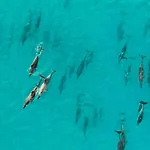 Sara E Gino Fuerteventura Carlos Penthouse Sea View & Terrace Διαμέρισμα *